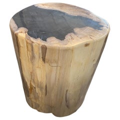 Antique Andrianna Shamaris Super Smooth Petrified Wood Side Table