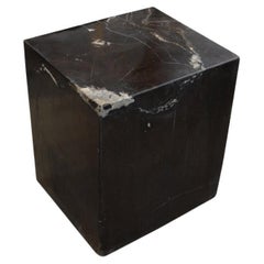 Andrianna Shamaris Super Smooth Petrified Wood Side Table
