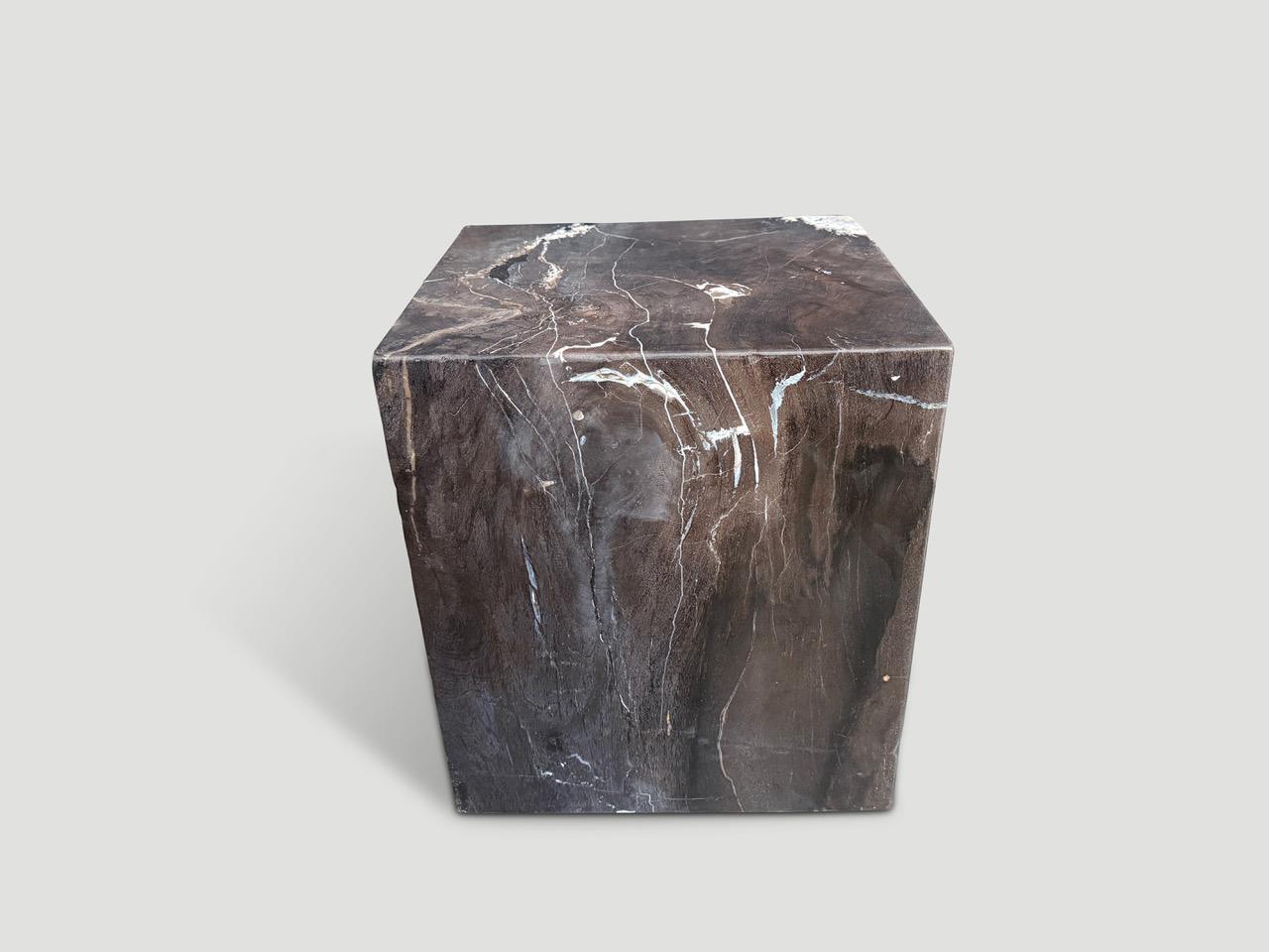 Andrianna Shamaris Super Smooth Petrified Wood Side Table