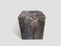 Andrianna Shamaris Super Smooth Petrified Wood Side Table