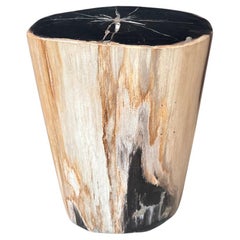 Andrianna Shamaris Super Smooth Petrified Wood Side Table