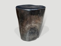 Andrianna Shamaris Super Smooth Petrified Wood Side Table or Pedestal
