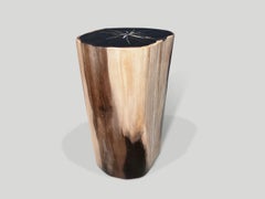 Andrianna Shamaris Super Smooth Petrified Wood Side Table or Pedestal