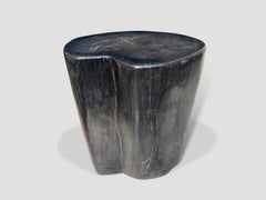 Andrianna Shamaris Super Smooth Petrified Wood Side Table or Pedestal