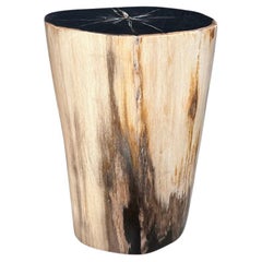 Andrianna Shamaris Super Smooth Petrified Wood Side Table or Pedestal Andrianna Shamaris Super Smooth Petrified Wood Side Table or Pedestal