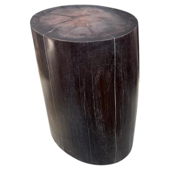 Andrianna Shamaris Super Smooth Petrified Wood Side Table or Pedestal