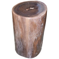 Andrianna Shamaris Super Smooth Petrified Wood Side Table or Stool