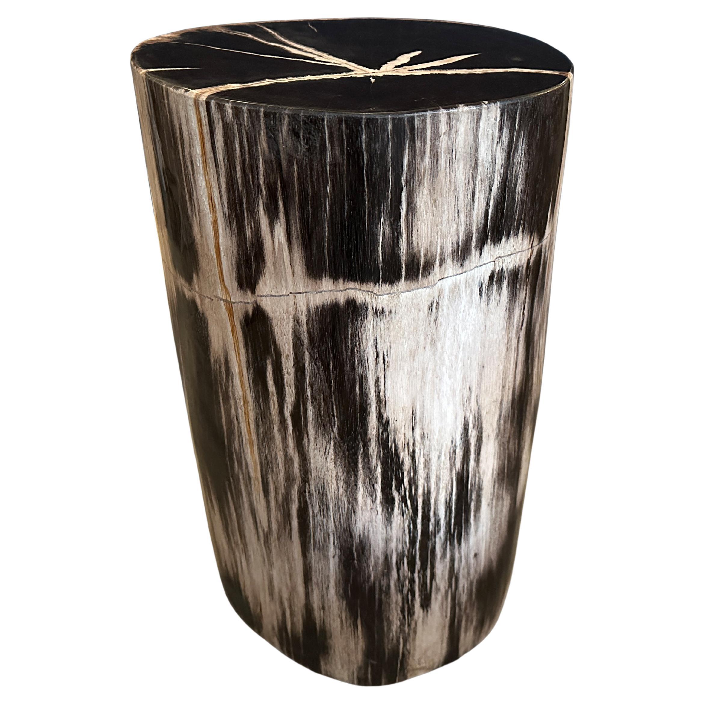 Andrianna Shamaris Super Smooth Quality Petrified Wood Side Table or Pedestal