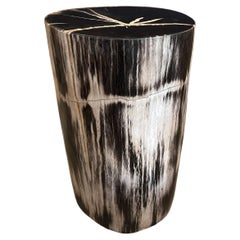 Andrianna Shamaris Super Smooth Quality Petrified Wood Side Table or Pedestal