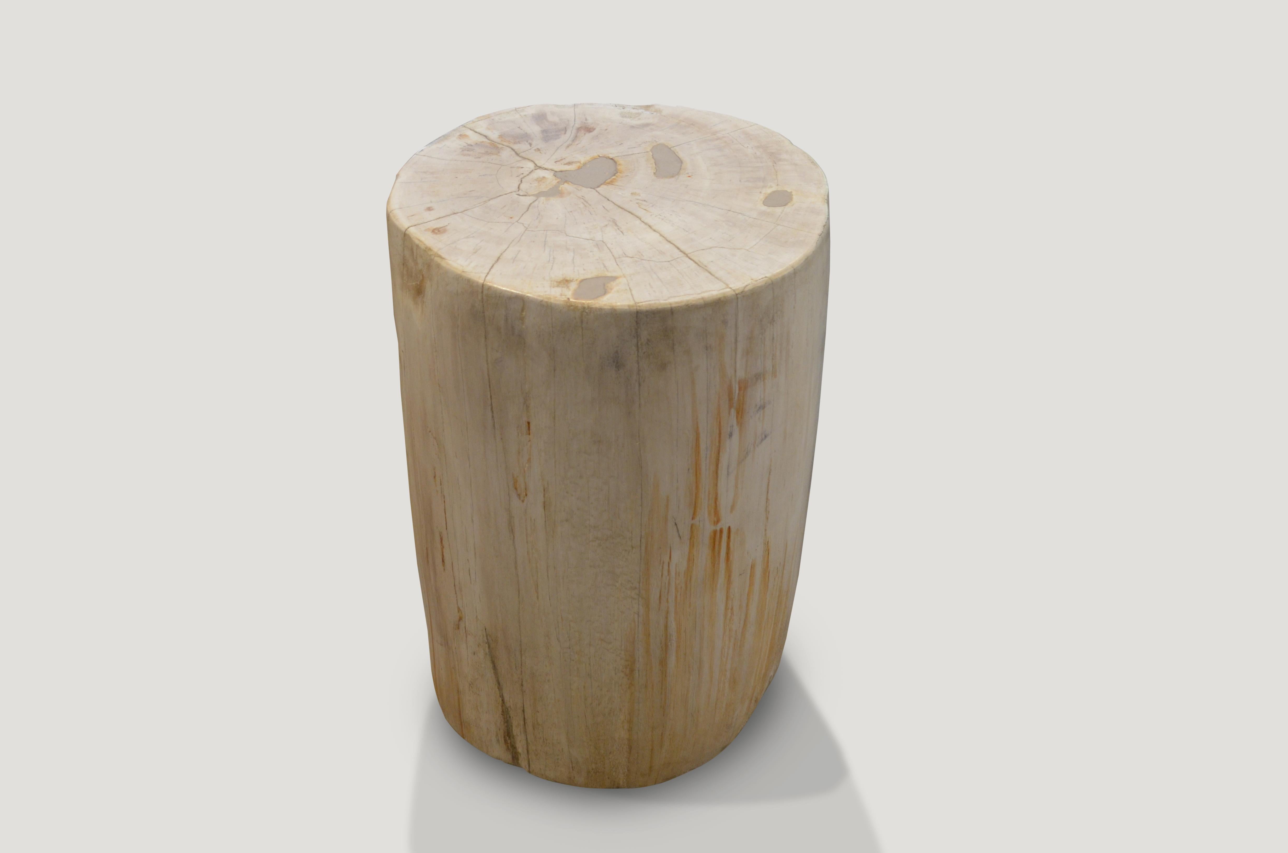 Organic Modern Andrianna Shamaris Super Smooth White and Cream Petrified Wood Side Table