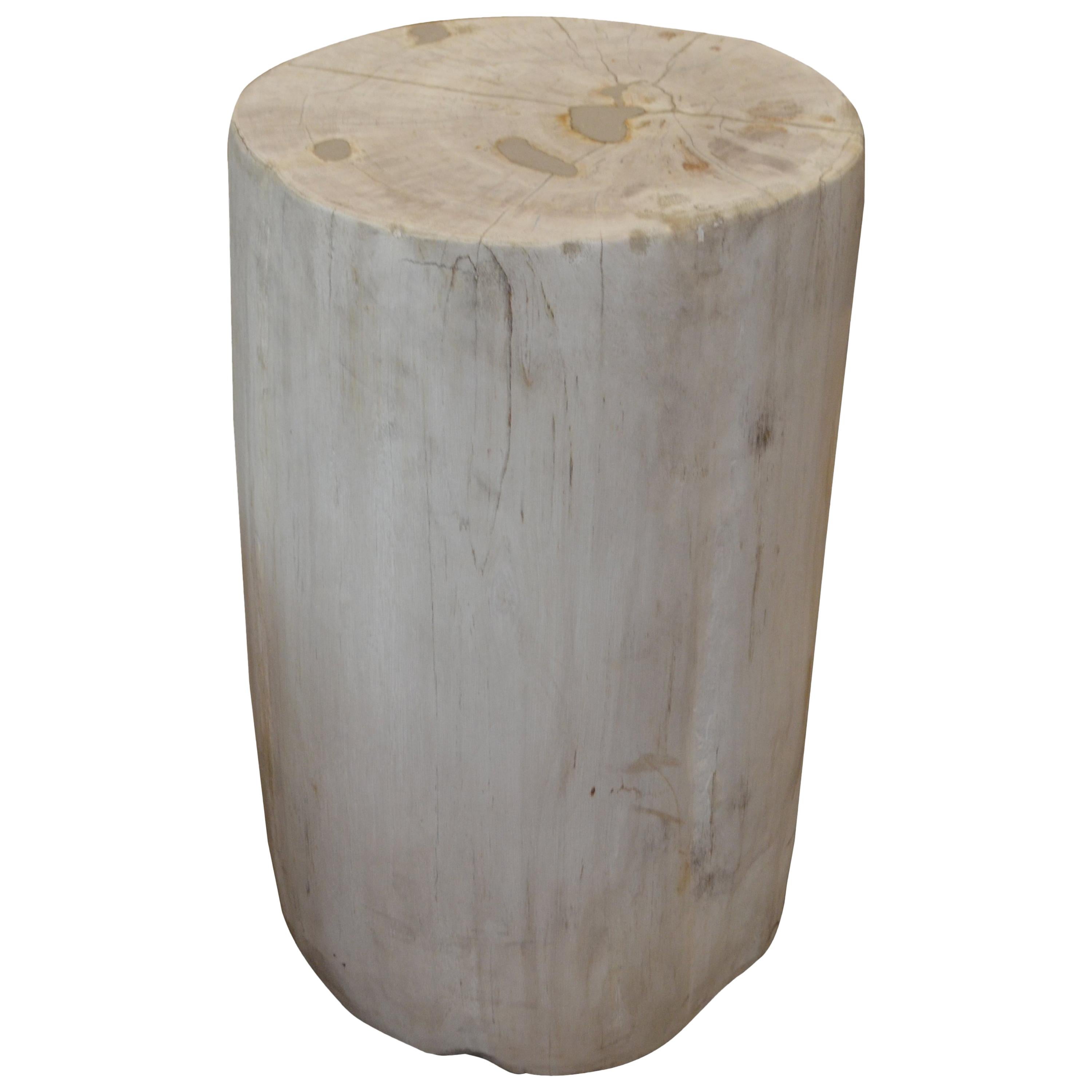 Andrianna Shamaris Super Smooth White and Cream Petrified Wood Side Table