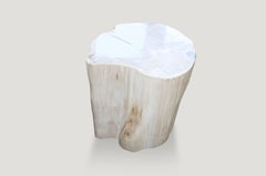 Andrianna Shamaris Super Smooth White Petrified Wood Side Table