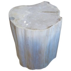 Antique Andrianna Shamaris Super Smooth White Petrified Wood Side Table