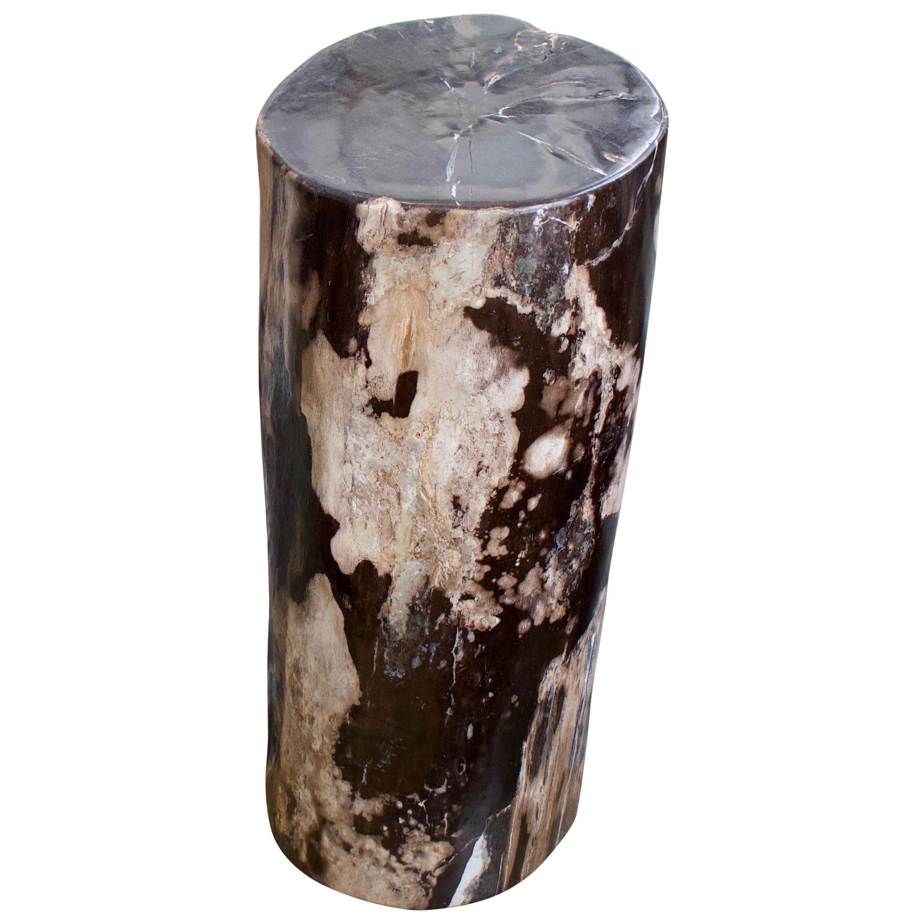 Andrianna Shamaris Tall Contrasting Color Toned Petrified Wood Side Table