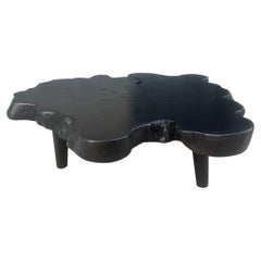 Andrianna Shamaris Teak Burl Wood Live Edge Charred Coffee Table