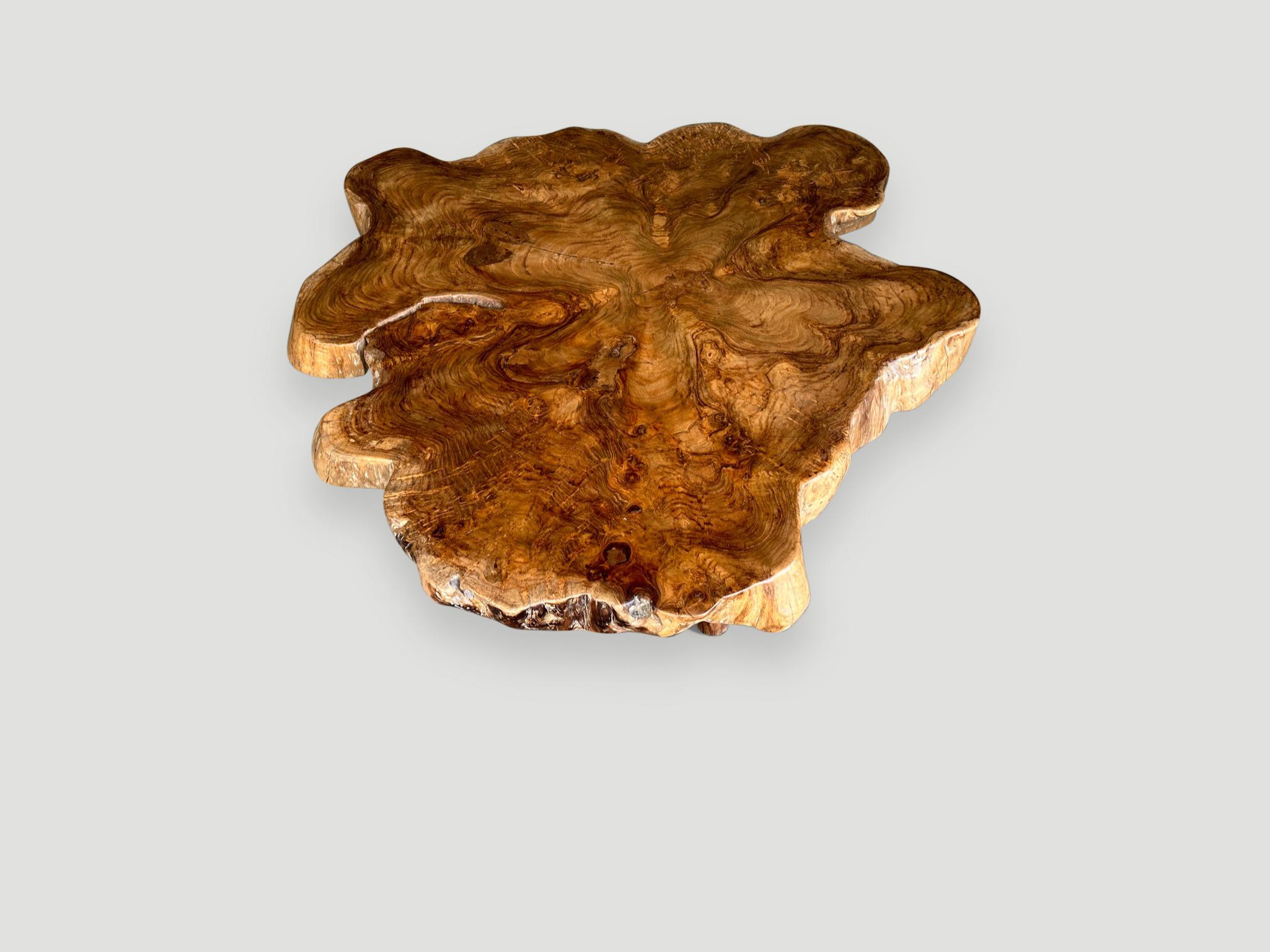 Andrianna Shamaris Teak Burl Wood Live Edge Coffee Table In Excellent Condition For Sale In New York, NY