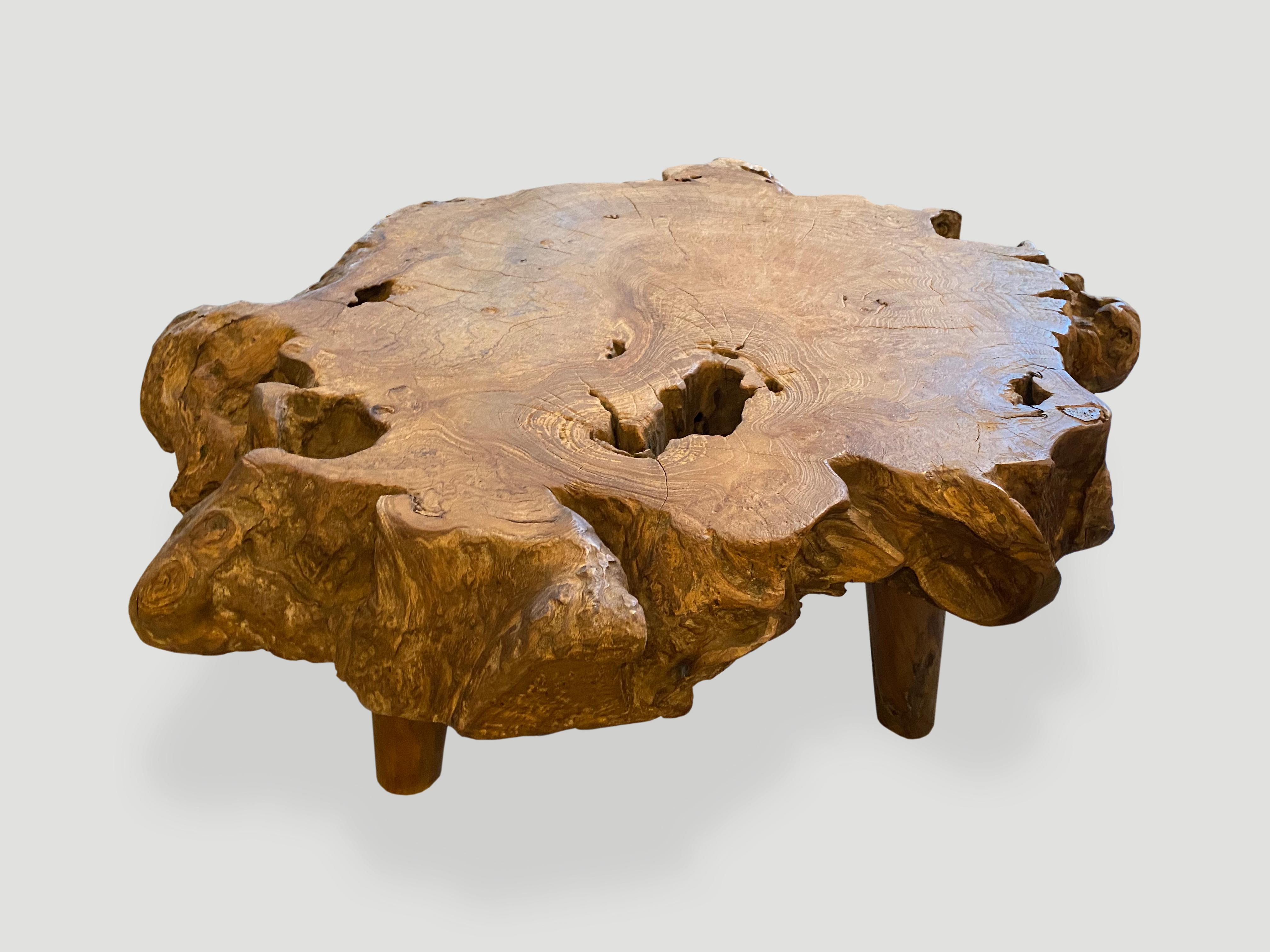 Impressive four inch top reclaimed teak root coffee table or side table. It’s fascinating how Mother Nature produces these logs with such beautiful patterns and markings throughout. A blend of organic and midcentury. We polished the wood to enhance