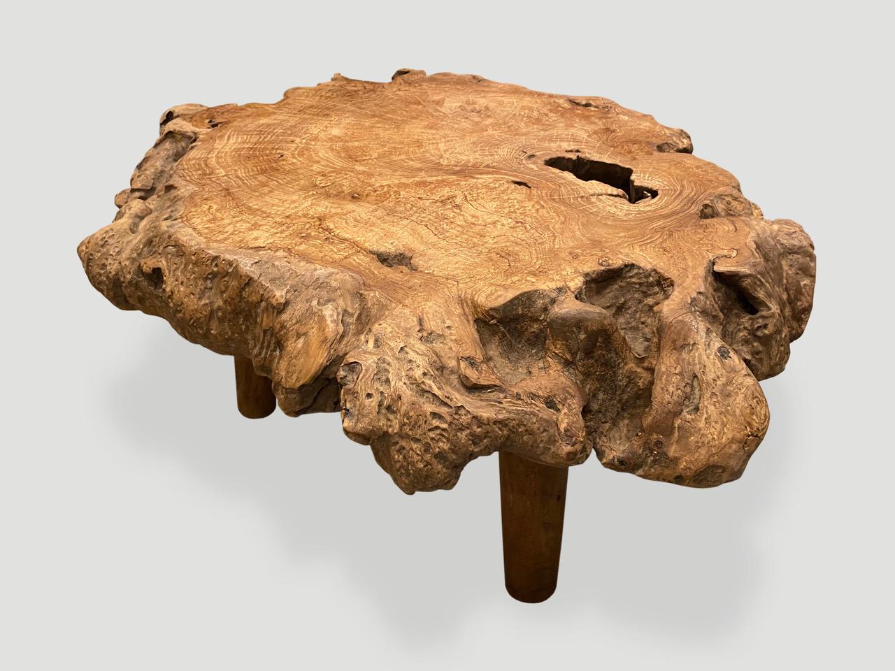 Impressive four inch top reclaimed teak root coffee table or side table. It’s fascinating how Mother Nature produces these logs with such beautiful patterns and markings throughout. A blend of organic and mid century. We polished the wood to enhance