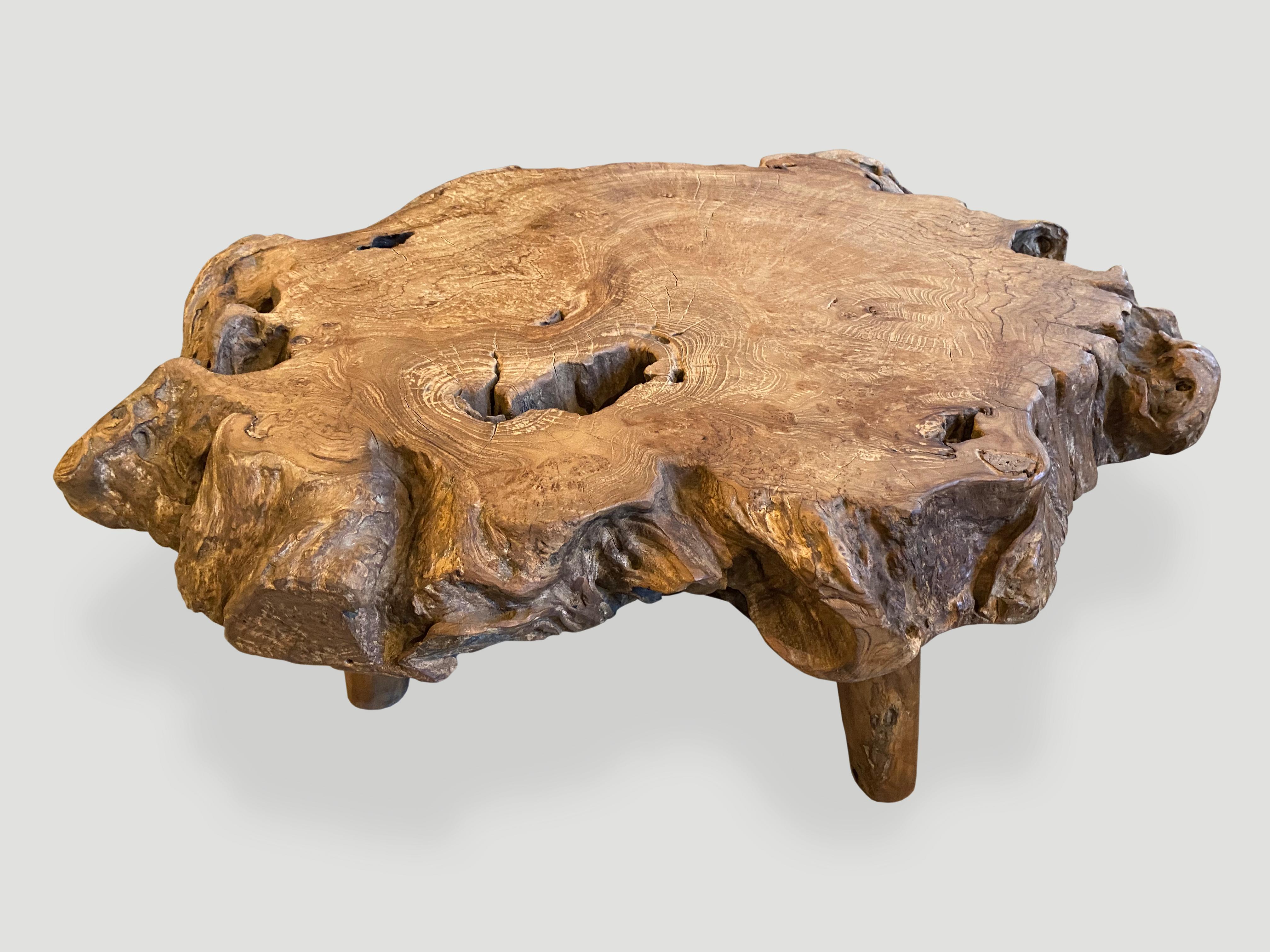 Andrianna Shamaris Teak Burl Wood Live Edge Coffee Table or Side Table In Excellent Condition In New York, NY