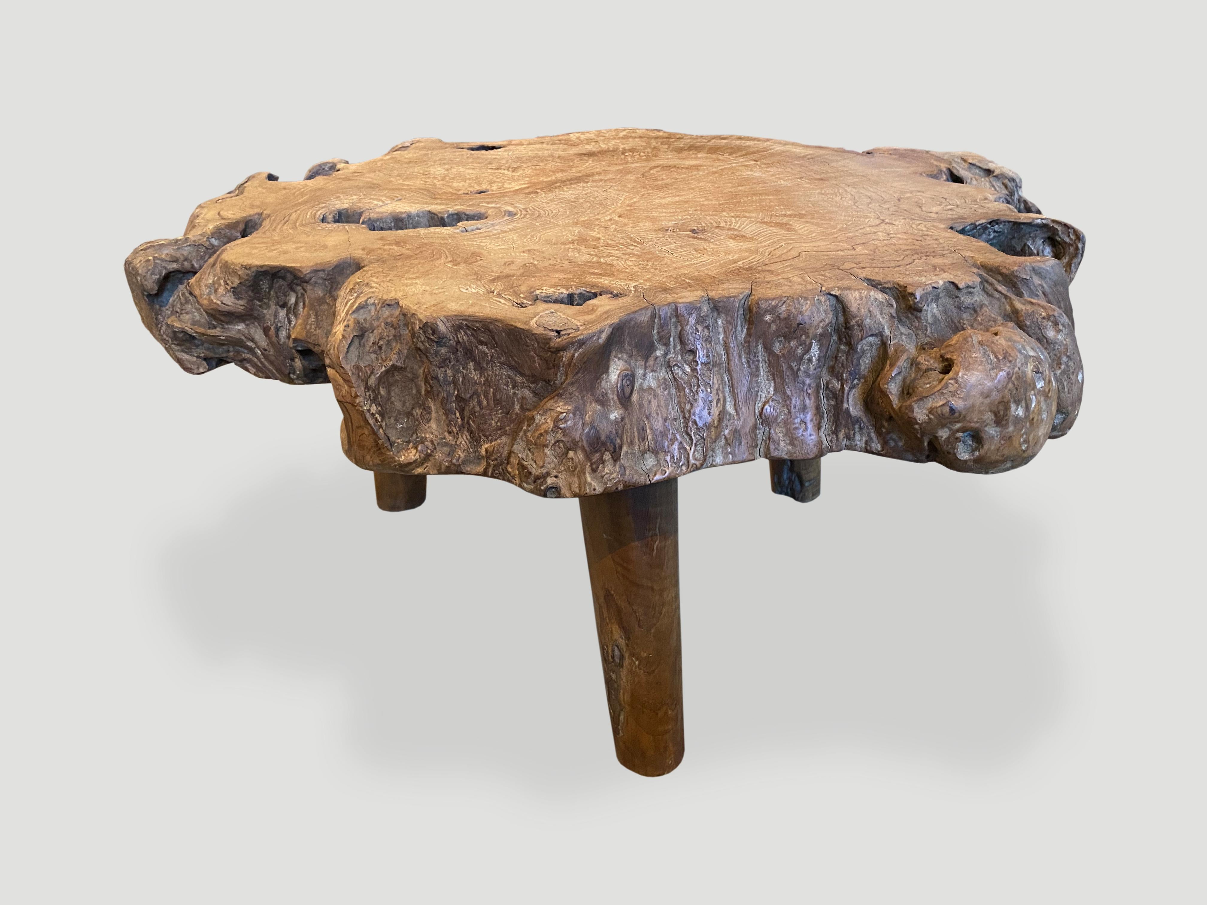 Contemporary Andrianna Shamaris Teak Burl Wood Live Edge Coffee Table or Side Table