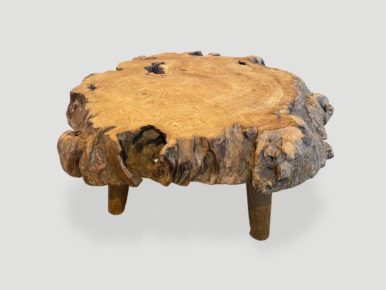 Andrianna Shamaris Teak Burl Wood Live Edge Coffee Table or Side Table In Excellent Condition In New York, NY