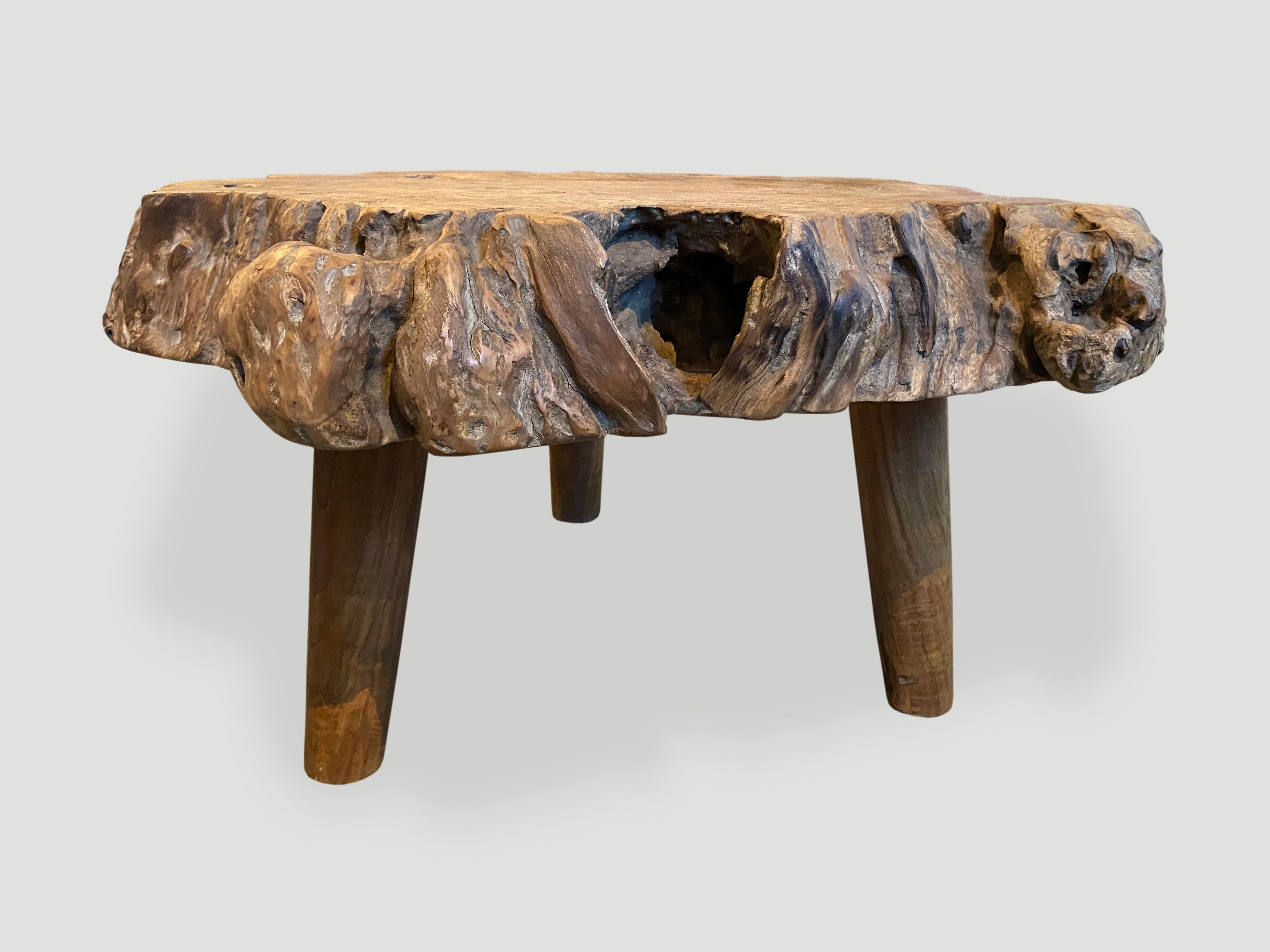 Andrianna Shamaris Teak Burl Wood Live Edge Coffee Table or Side Table 2