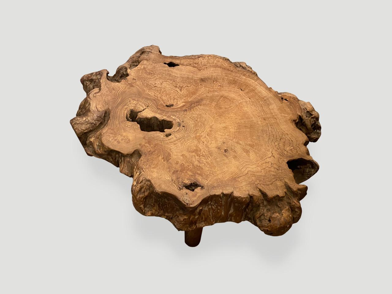 Andrianna Shamaris Teak Burl Wood Live Edge Coffee Table or Side Table 1