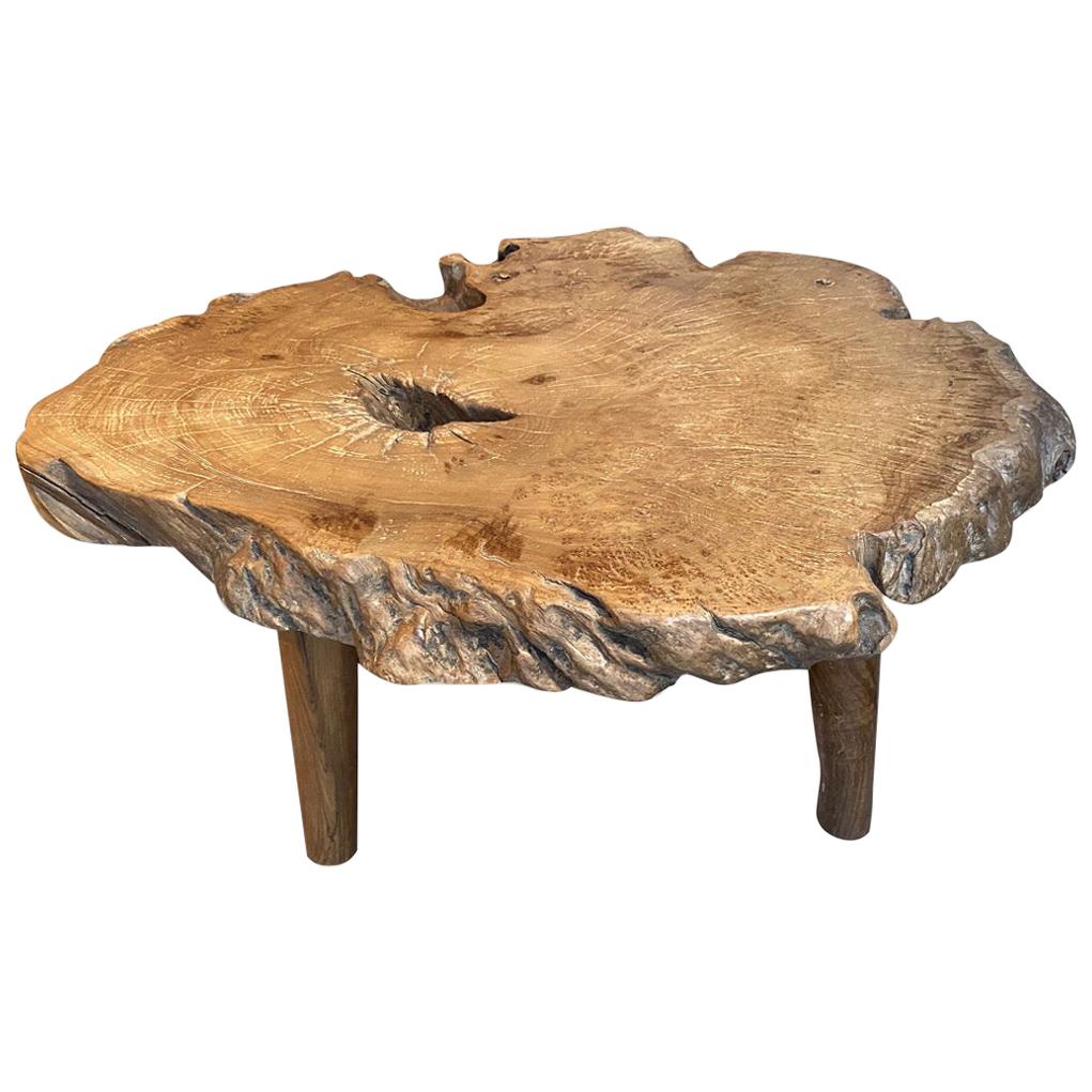 Andrianna Shamaris Teak Burl Wood Live Edge Coffee Table or Side Table