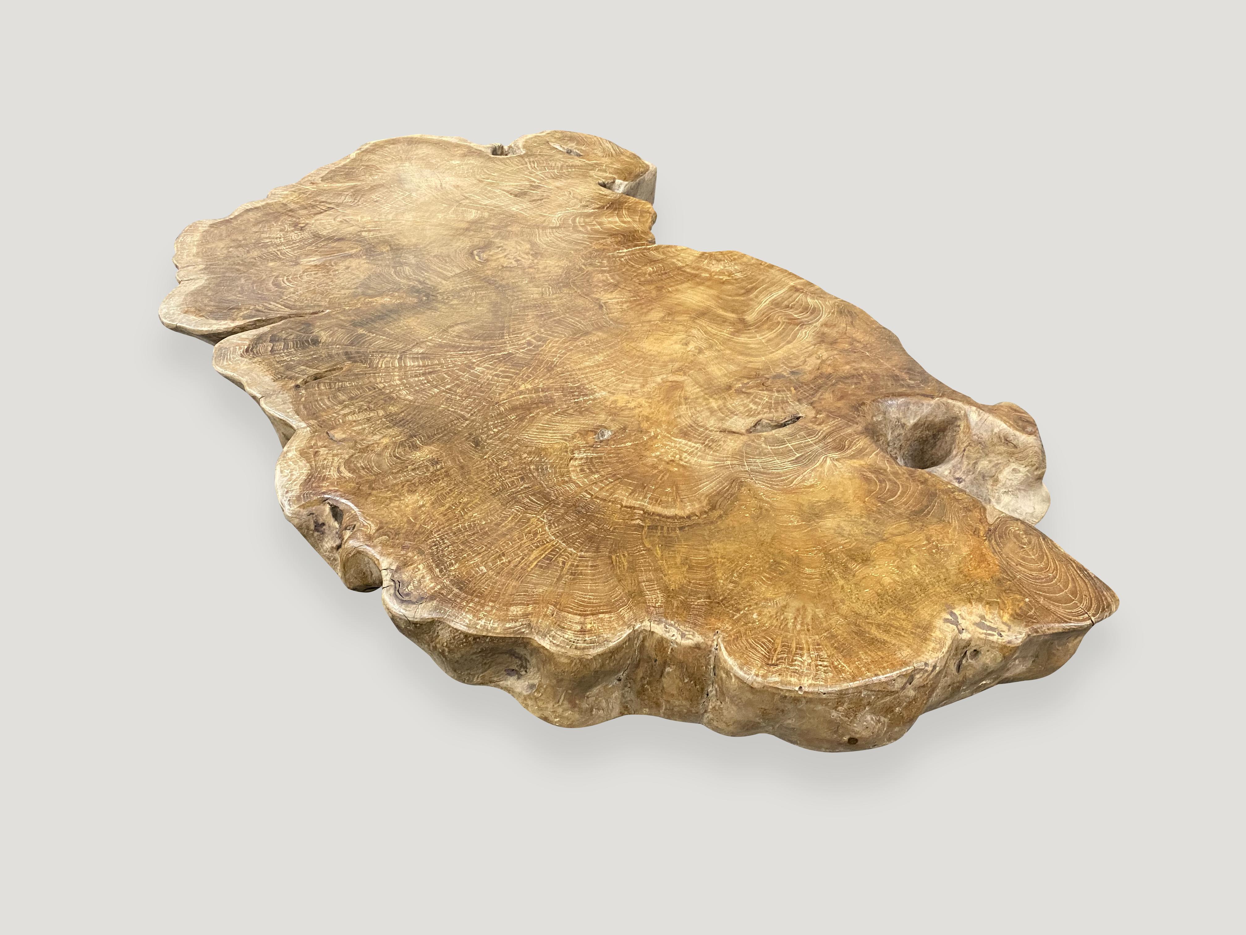 Impressive four inch thick reclaimed burl wood teak coffee table from the root of a tree. A blend of organic and midcentury. We polished the wood to enhance the beautiful grain with a natural oil finish. Floating on midcentury style legs.

Own an