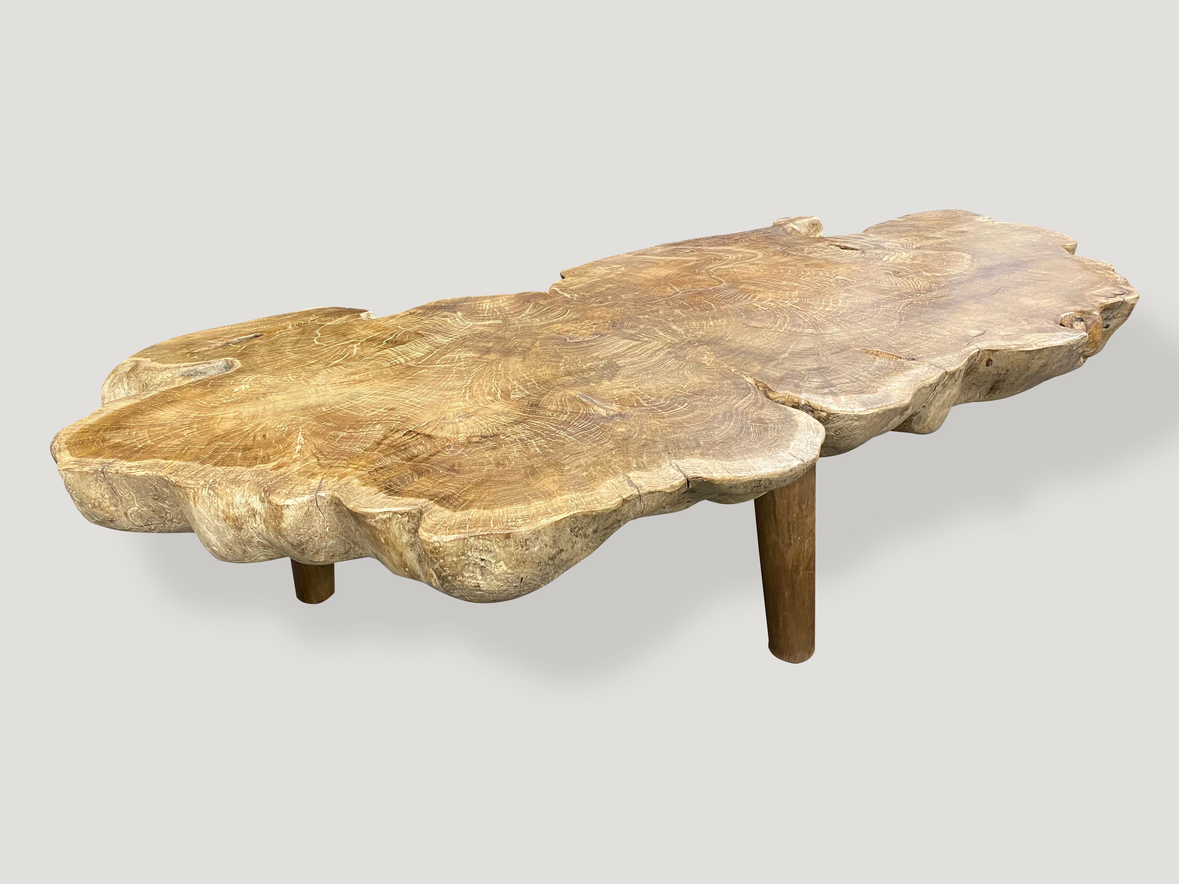 Andrianna Shamaris Teak Burled Wood Live Edge Coffee Table In Excellent Condition In New York, NY