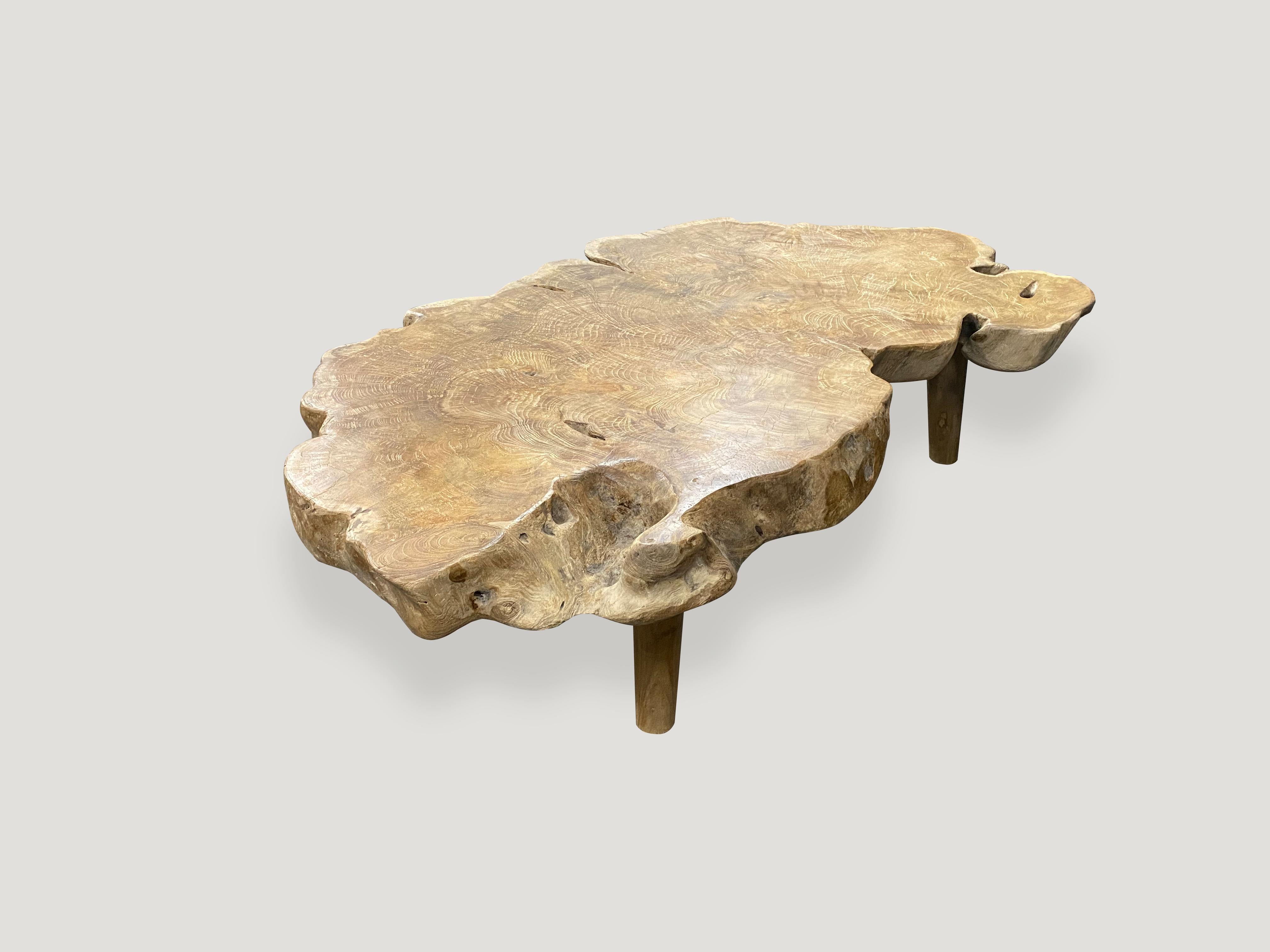 Contemporary Andrianna Shamaris Teak Burled Wood Live Edge Coffee Table