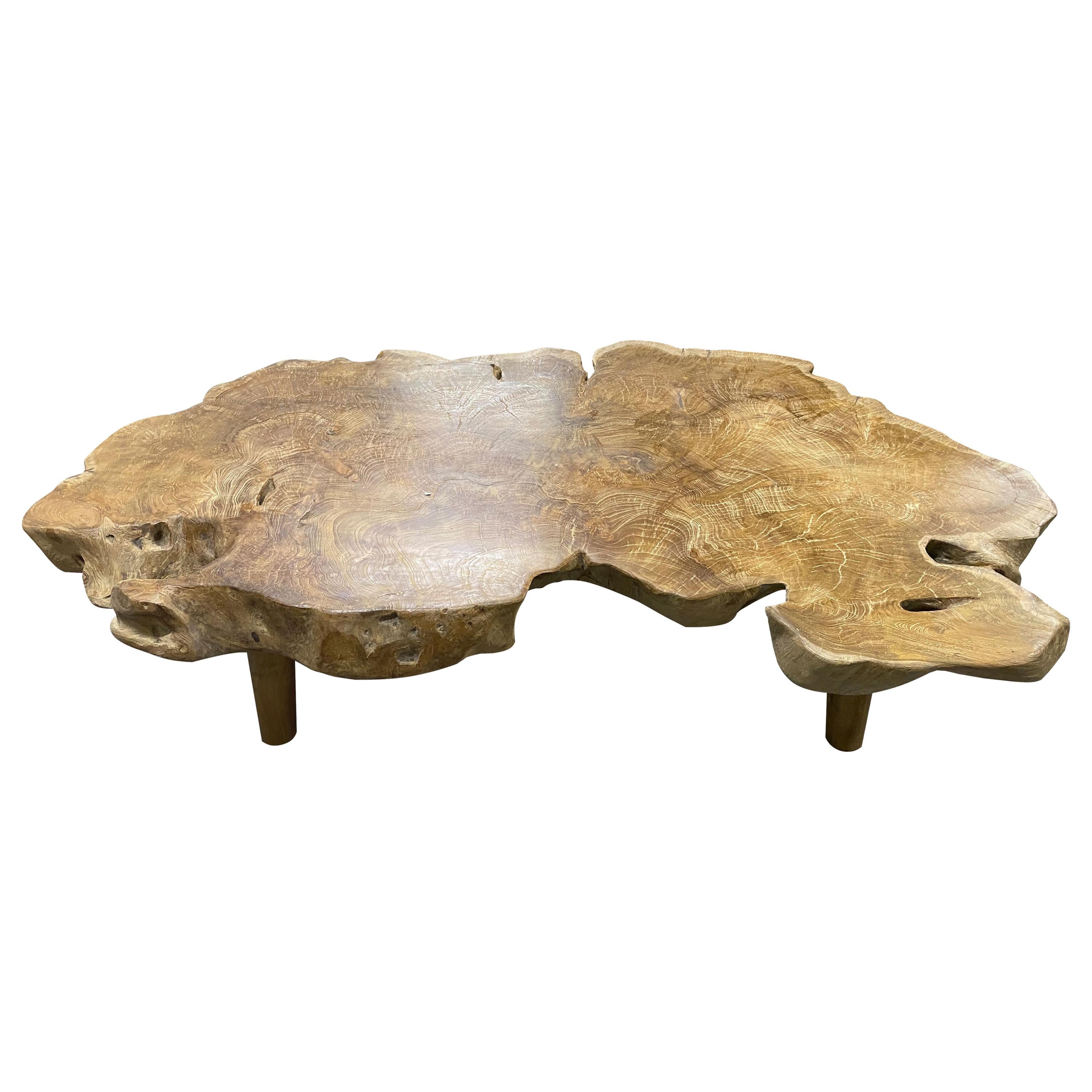 Andrianna Shamaris Teak Burled Wood Live Edge Coffee Table