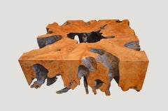 Andrianna Shamaris Teak Root Coffee Table