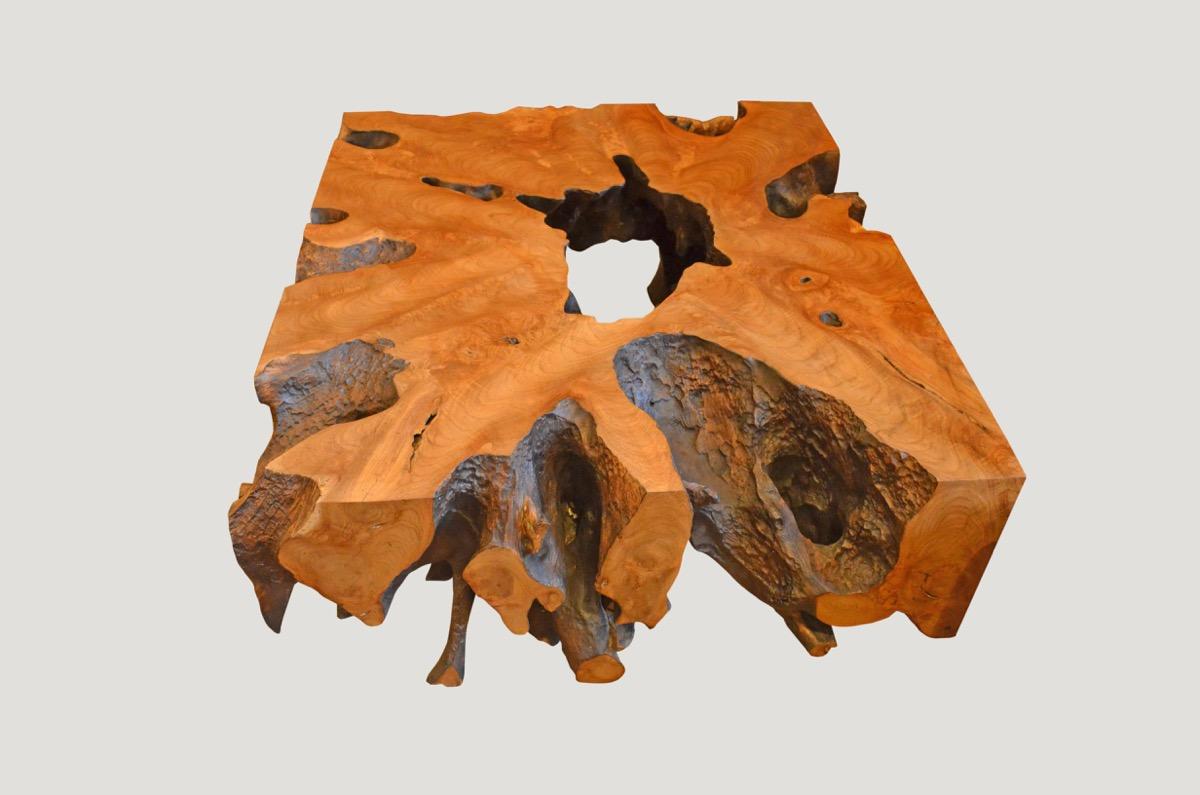 Asian Andrianna Shamaris Teak Root Coffee Table