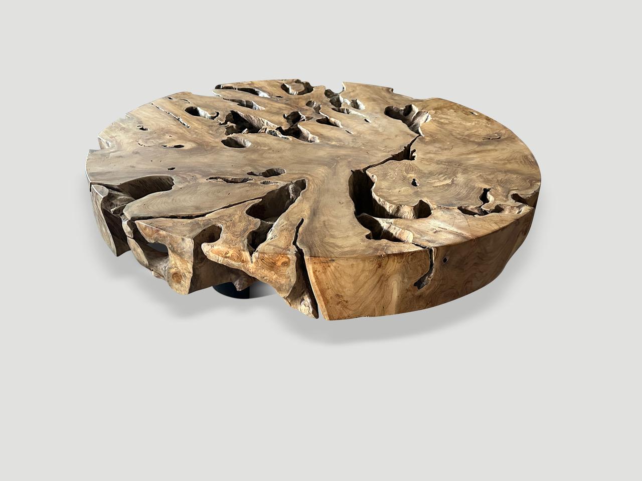 Reclaimed teak root coffee table. Hand carved into this beautiful usable shape whilst respecting the natural organic wood. This impressive five inch thick top floats on three minimalist steel legs. We polished the aged teak with a natural oil