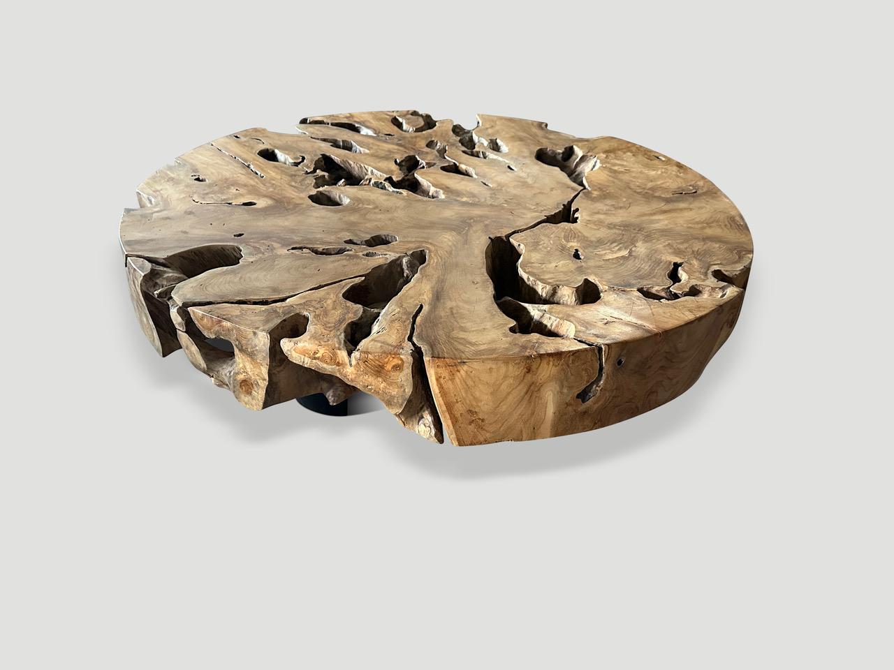 Tavolino da caffè con radice di teak recuperata. Scolpito a mano in questa bella forma utilizzabile, rispettando il legno organico naturale. Questo imponente piano di spessore di cinque pollici poggia su tre gambe minimaliste in acciaio. Abbiamo