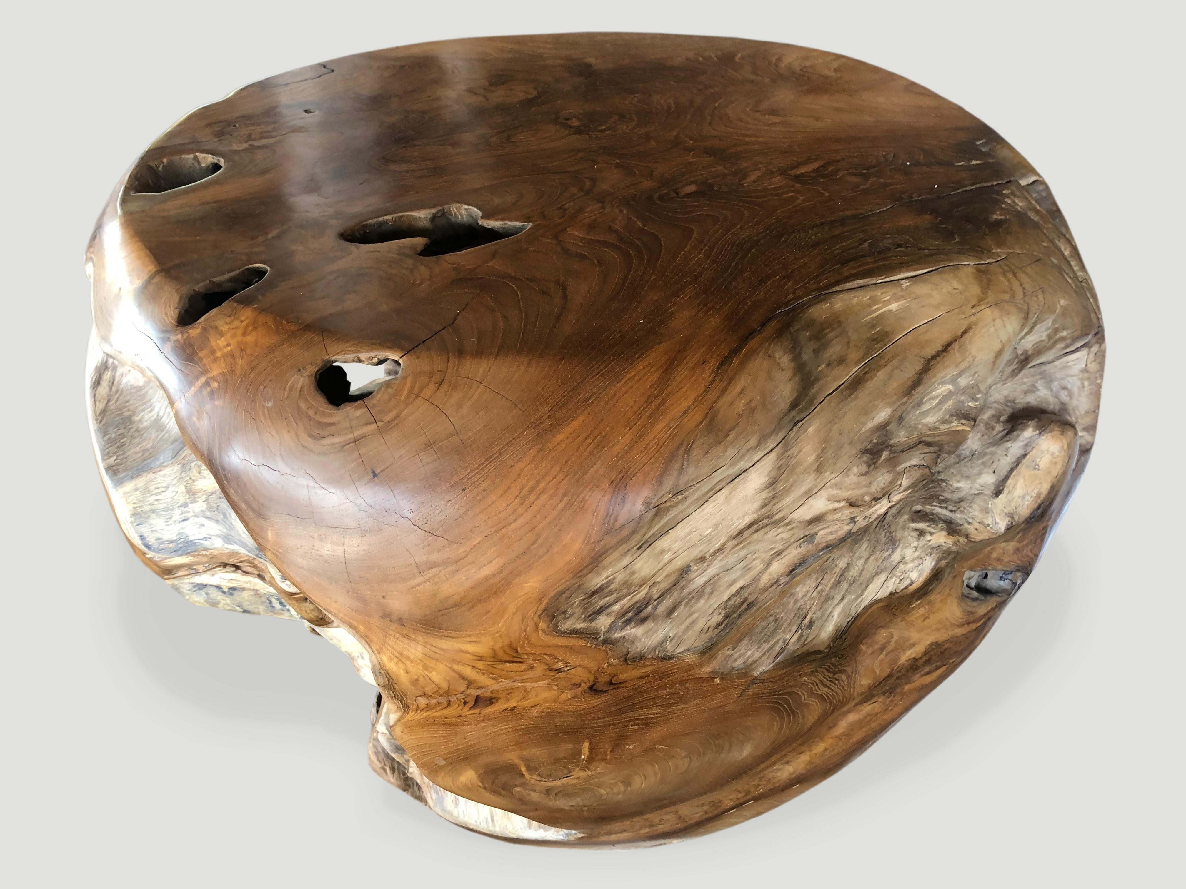 Reclaimed teak root coffee table, hand carved into a beautiful drum shape. The top flat section is 23? diameter and the outer drum shape expands to 27?. The outer layer is polished and the inner sides we have left in their natural organic form.