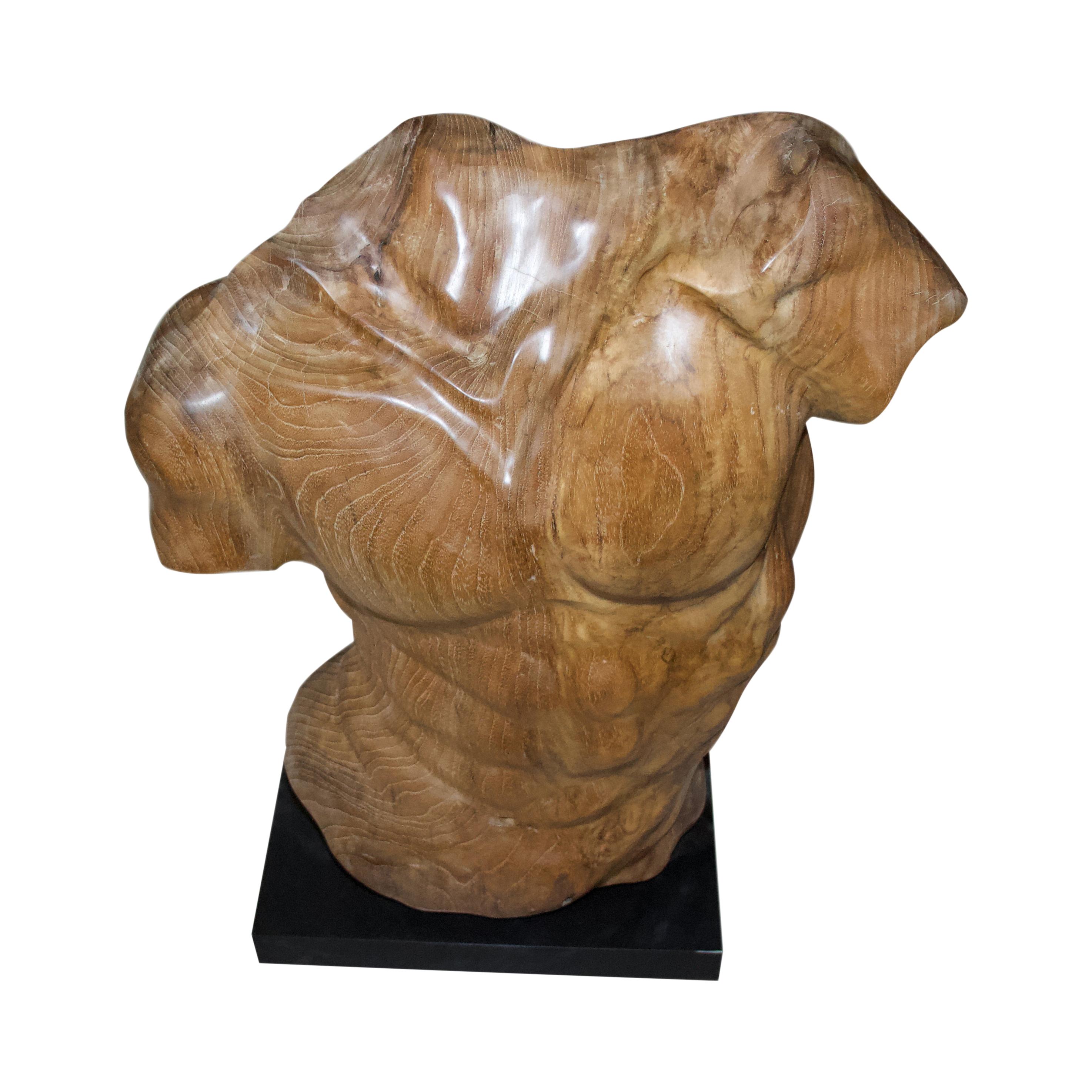 Andrianna Shamaris Teak Wood Male Torso