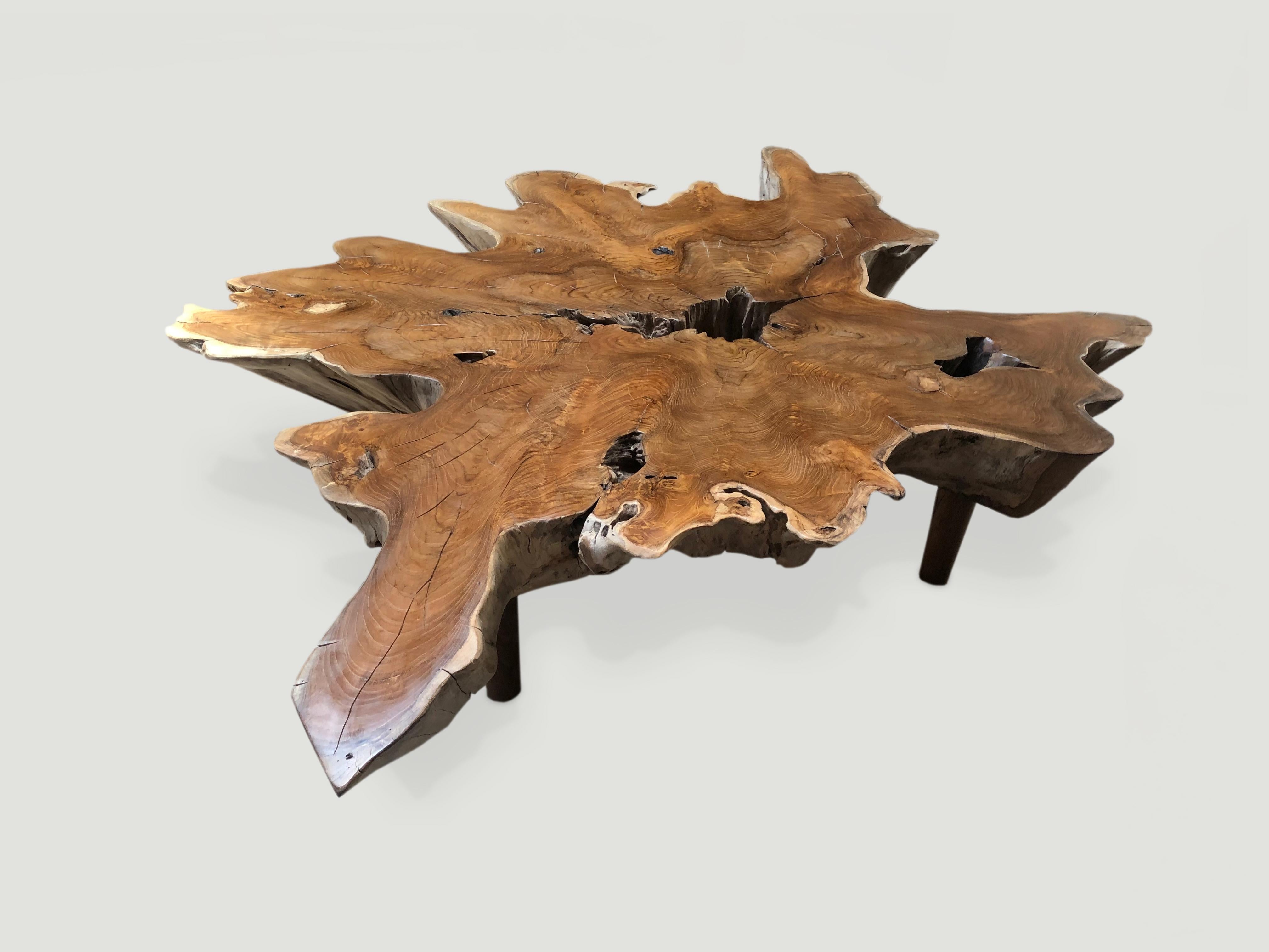 Organic Modern Andrianna Shamaris Teak Wood Organic Root Coffee Table