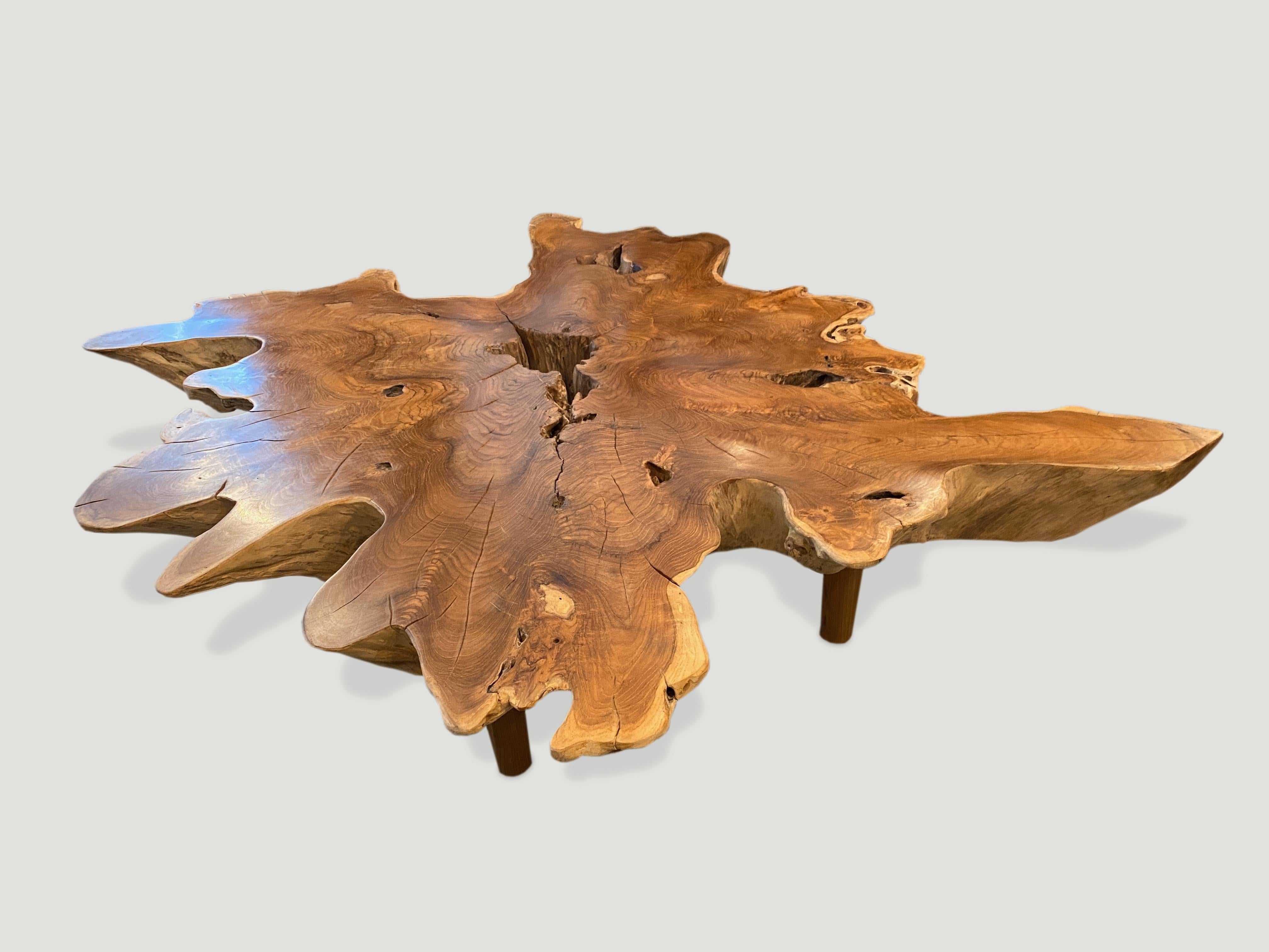 Andrianna Shamaris Teak Wood Organic Root Coffee Table In Excellent Condition For Sale In New York, NY