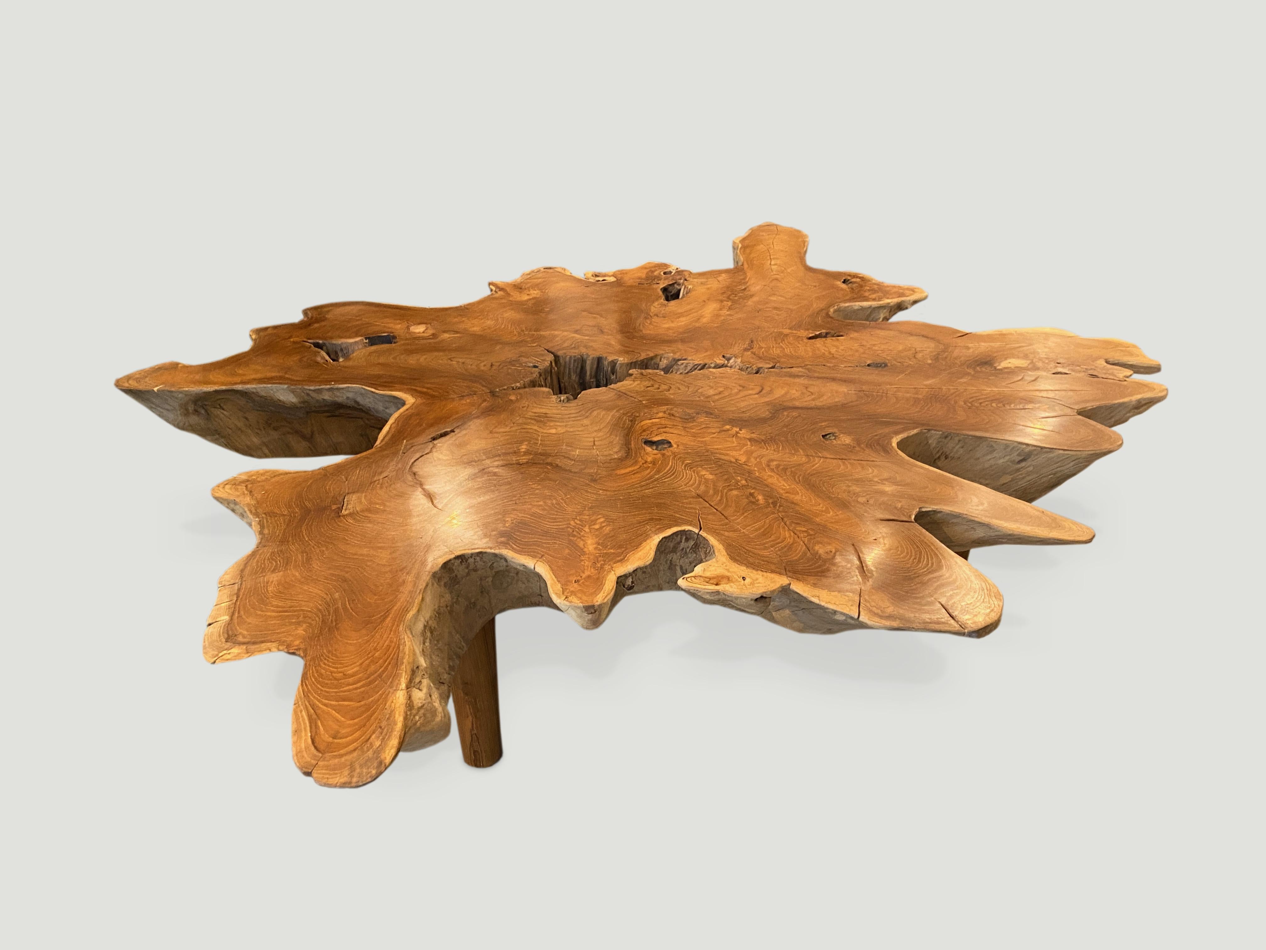 Contemporary Andrianna Shamaris Teak Wood Organic Root Coffee Table For Sale