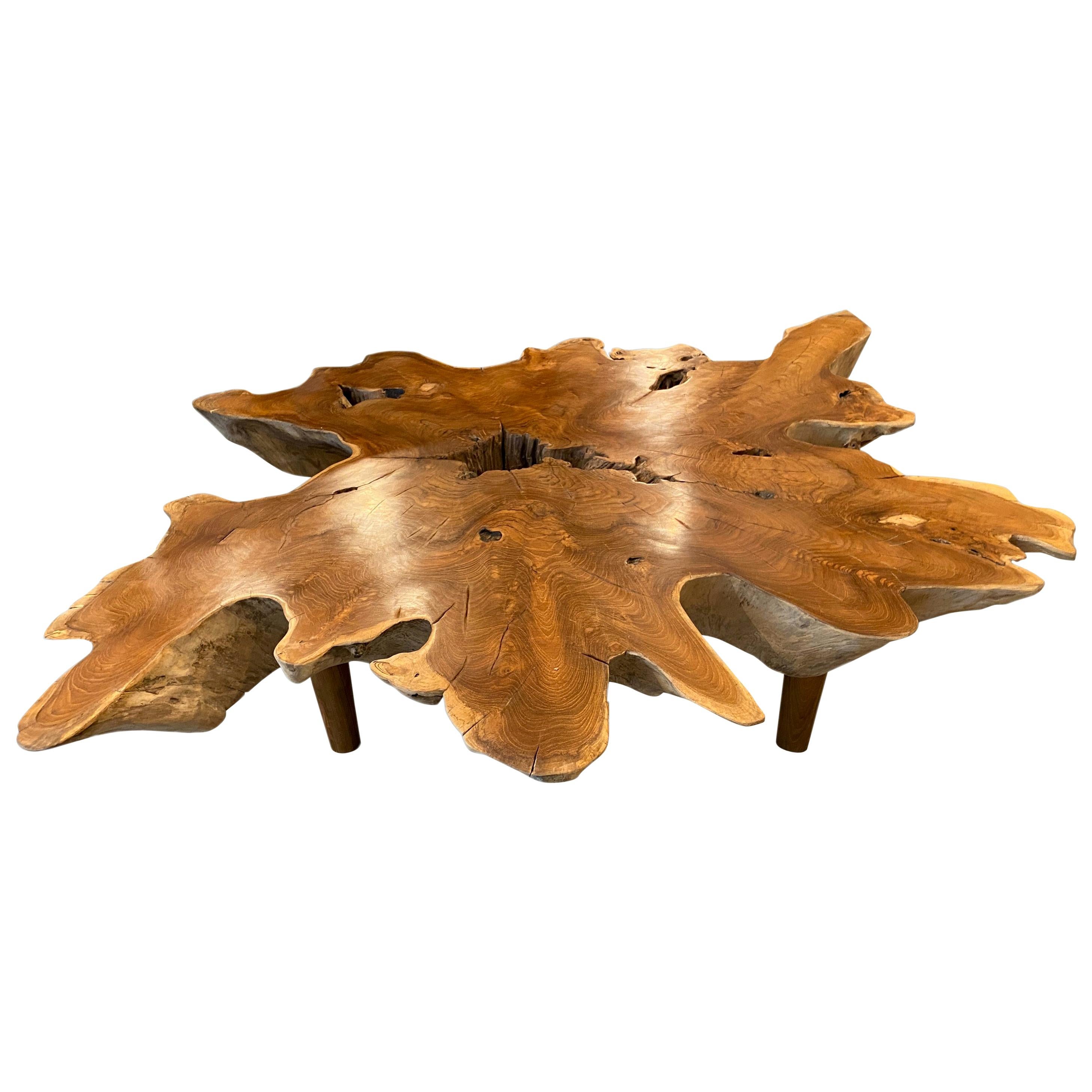 Andrianna Shamaris Teak Wood Organic Root Coffee Table For Sale