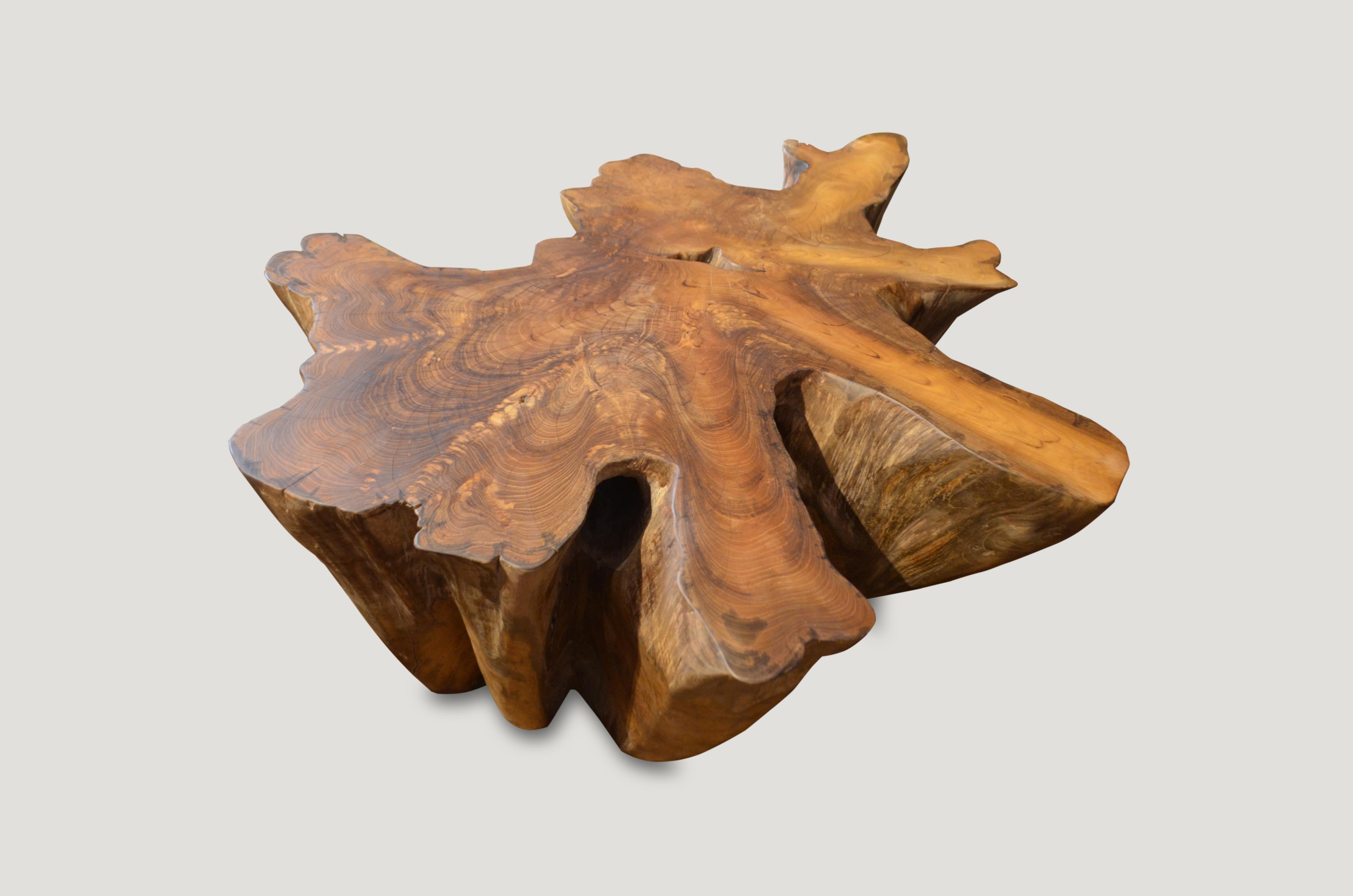 Organic Modern Andrianna Shamaris Teak Wood Root Coffee Table