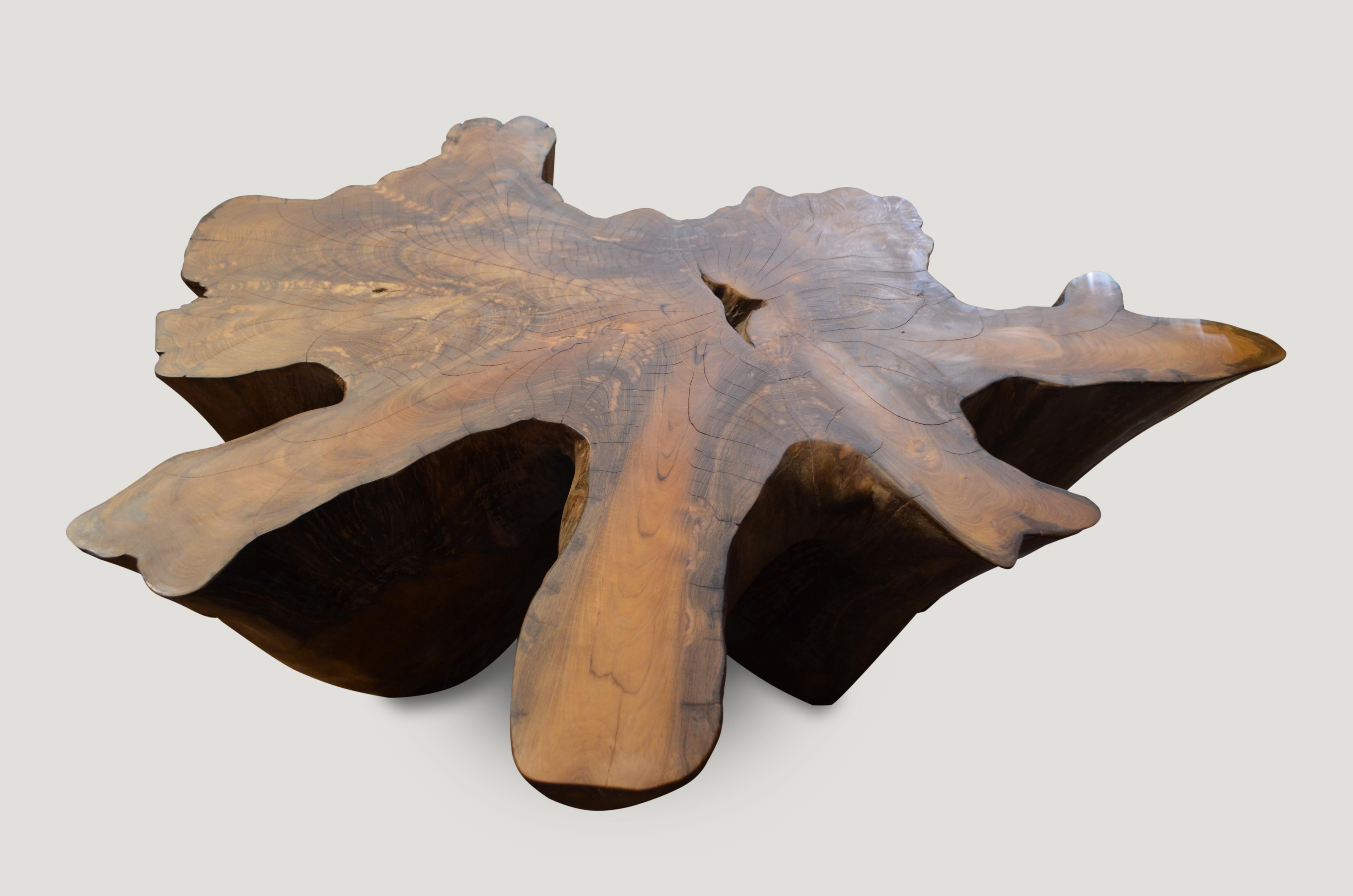 Andrianna Shamaris Teak Wood Root Coffee Table In Excellent Condition In New York, NY
