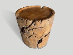 Andrianna Shamaris Teak Wood Root Side Table, Tray Style, Sculptural Design