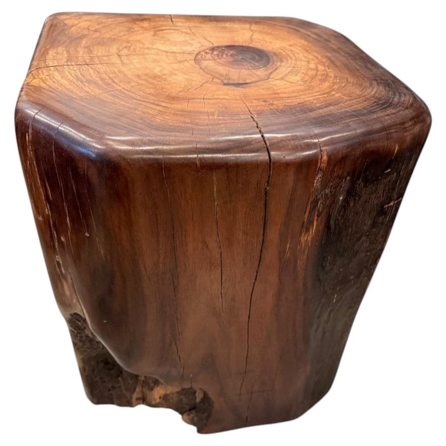Andrianna Shamaris Teak Wood Side Table, Wabi-Sabi Design