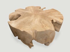 Andrianna Shamaris Teak Wood St. Barts Round Coffee Table