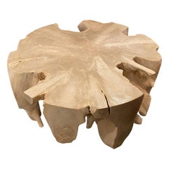 Andrianna Shamaris Teak Wood St. Barts Round Coffee Table