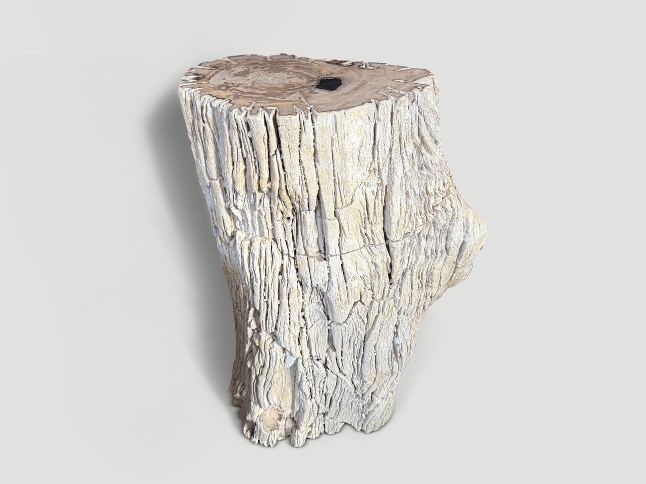 Impressionnante table d'appoint ou piédestal en bois pétrifié de haute qualité aux magnifiques tons clairs. Il est fascinant de voir comment Mère Nature produit ces stupéfiants troncs de teck pétrifiés vieux de 40 millions d'années, aux couleurs si