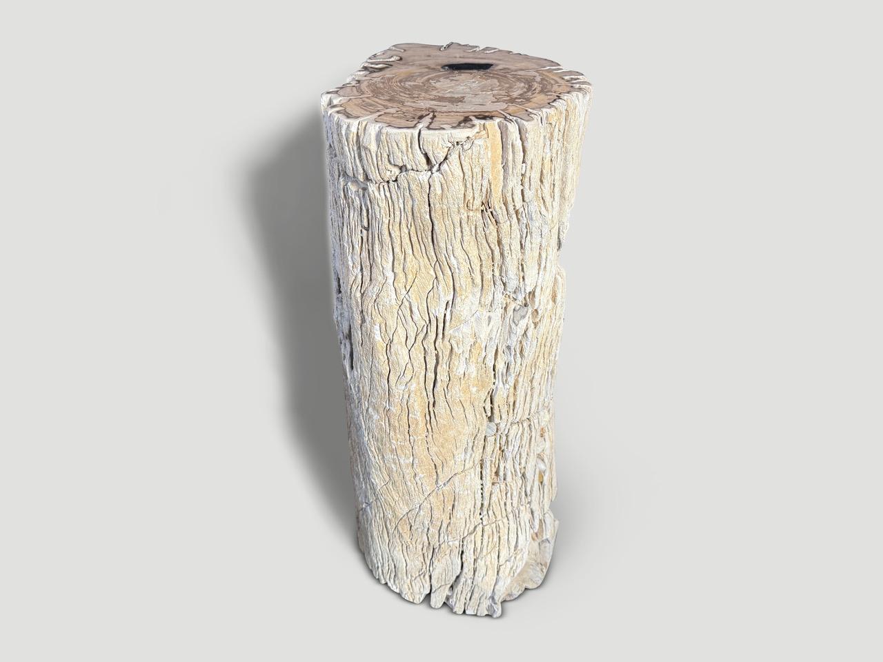 Organique Andrianna Shamaris table d'appoint ou piédestal en bois pétrifié texturé de haute qualité en vente